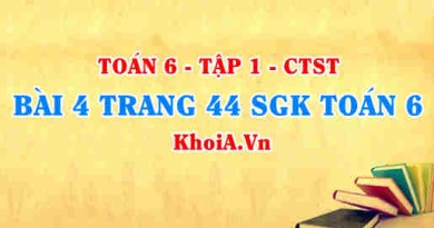 Bài 4 trang 44 SGK Toán 6 Tập 1 Chân trời sáng tạo